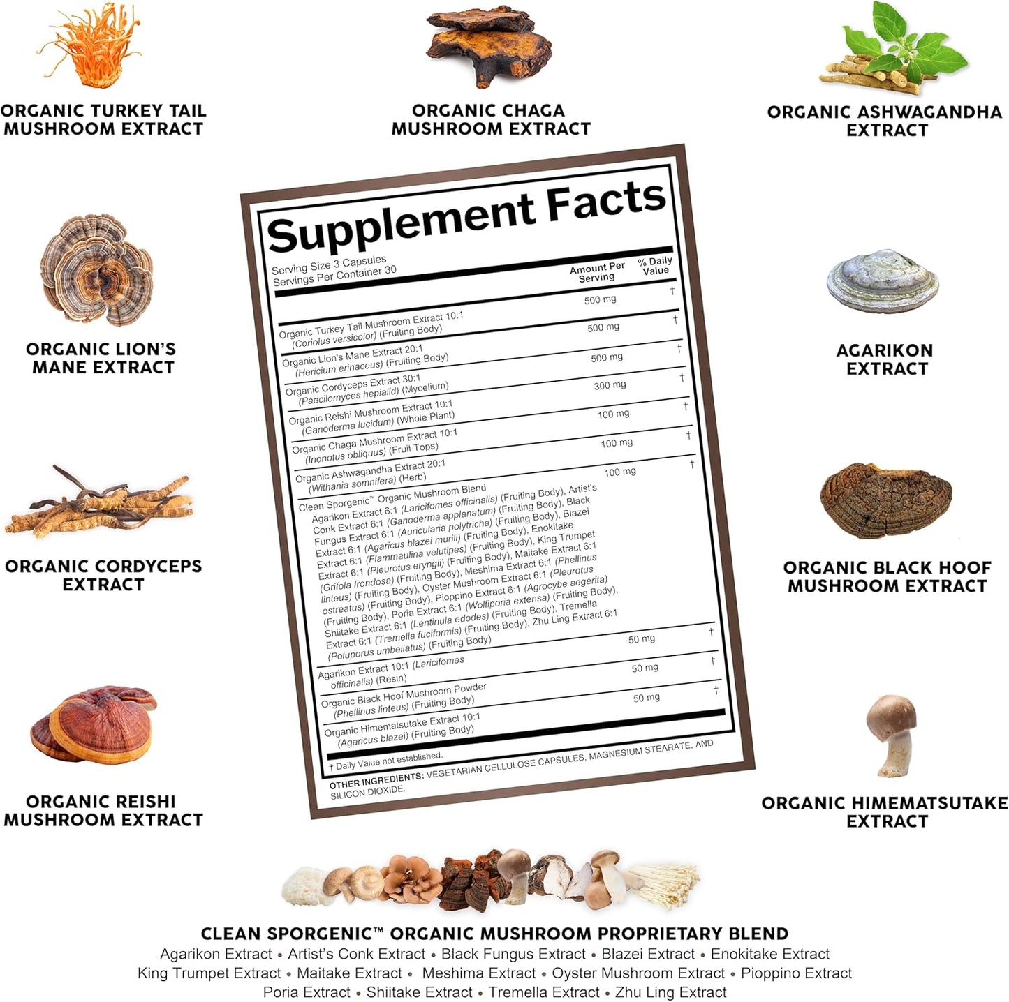 Sporgenic
