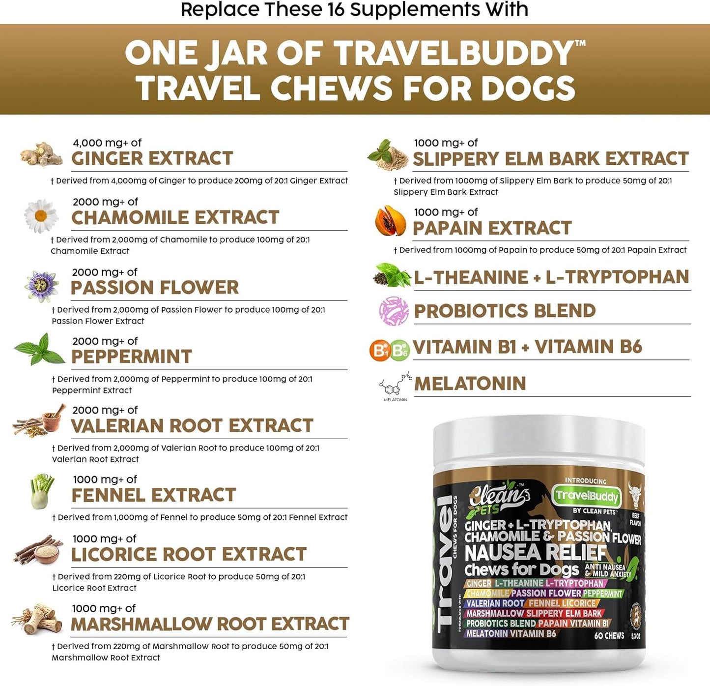 TravelBuddy