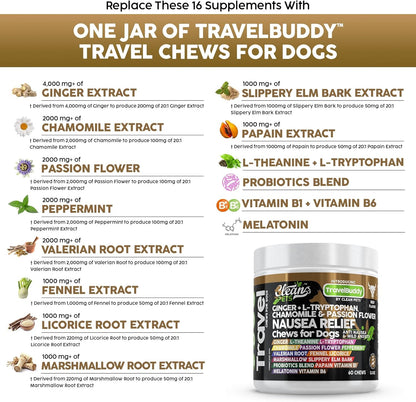 TravelBuddy