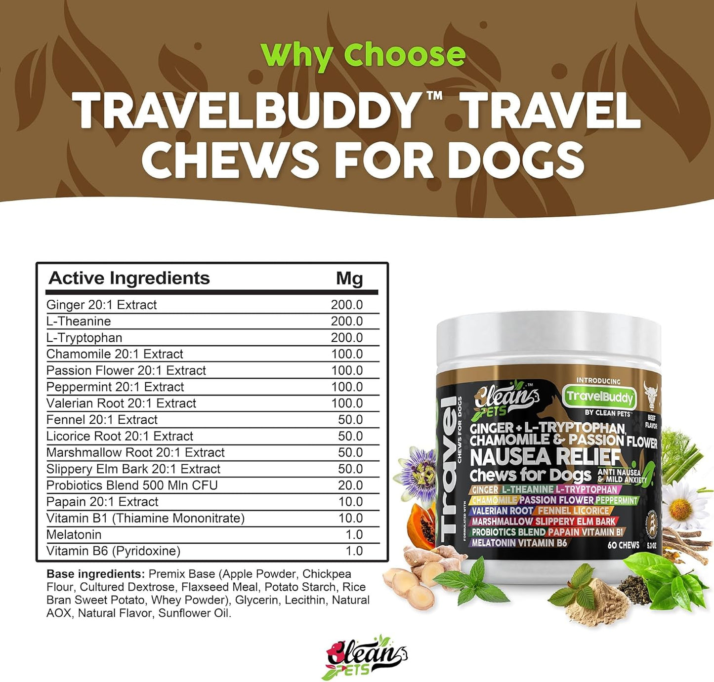 TravelBuddy