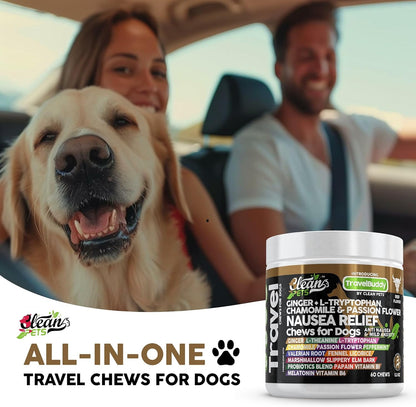 TravelBuddy