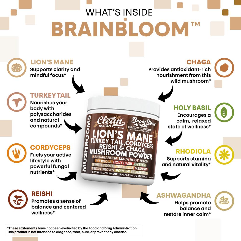BrainBloom