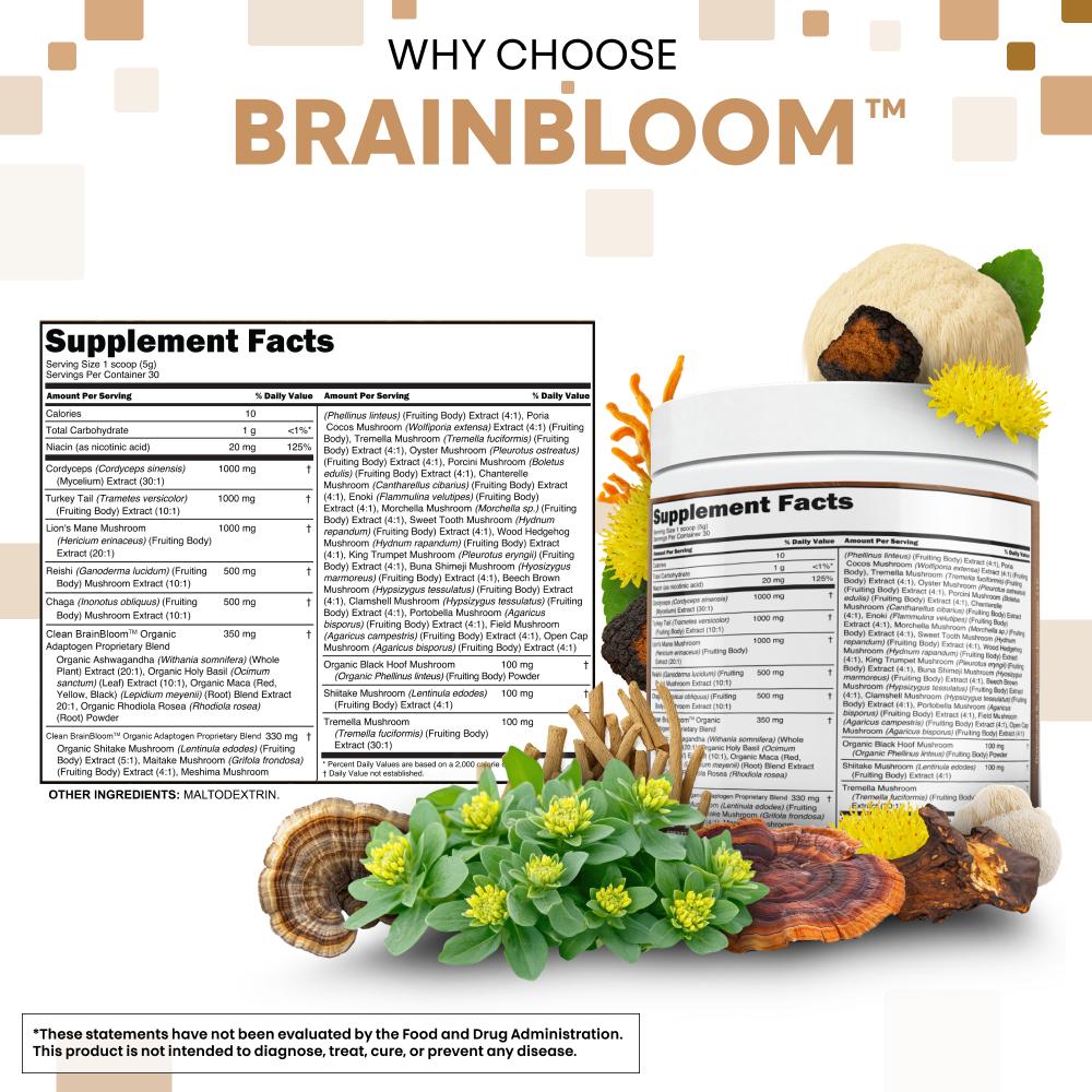 BrainBloom
