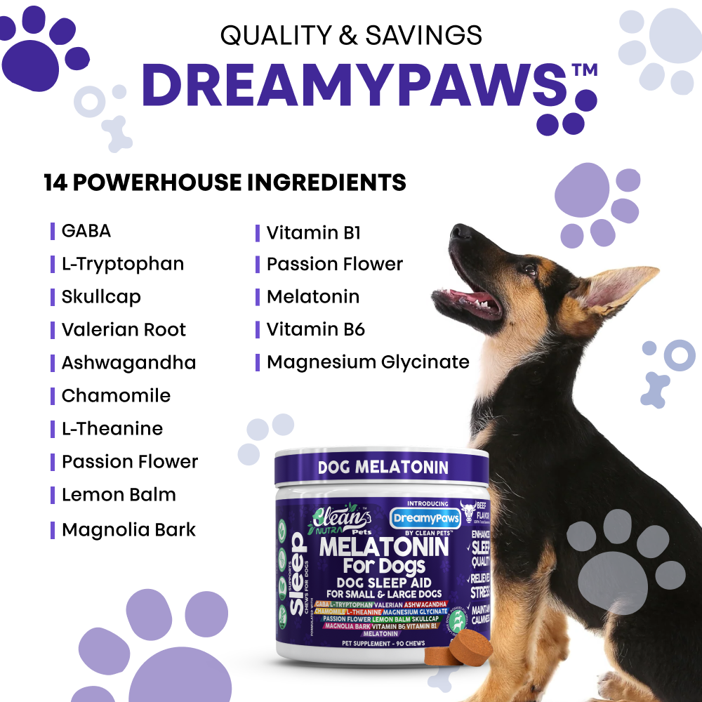 DreamyPaws