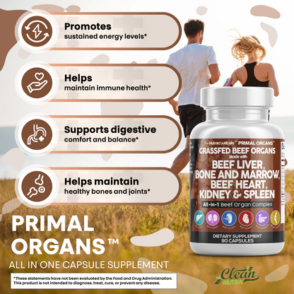 Primal Organs