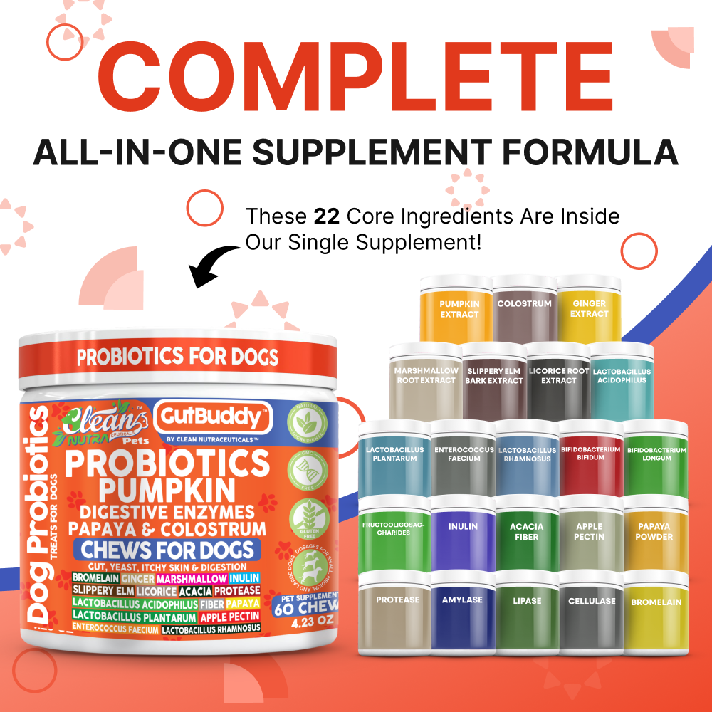 Gut Buddy Probiotic