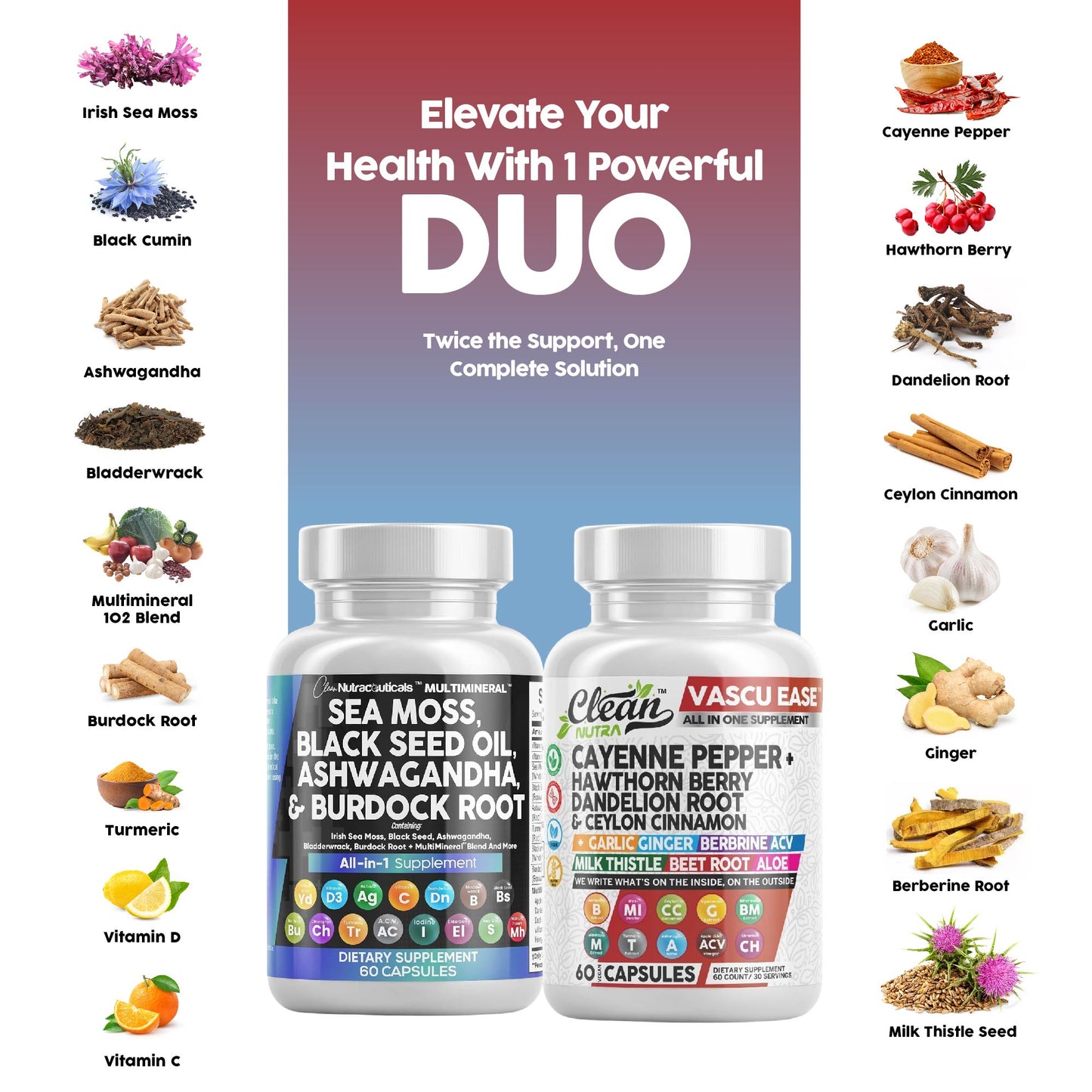 Heart & Harmony Duo