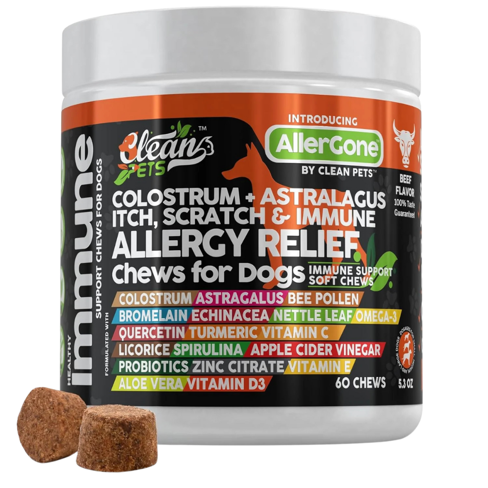 Allergy Immune