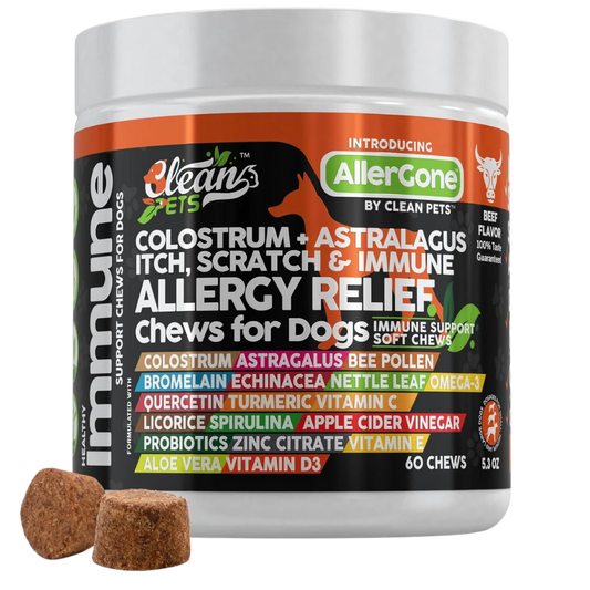 Allergy Immune