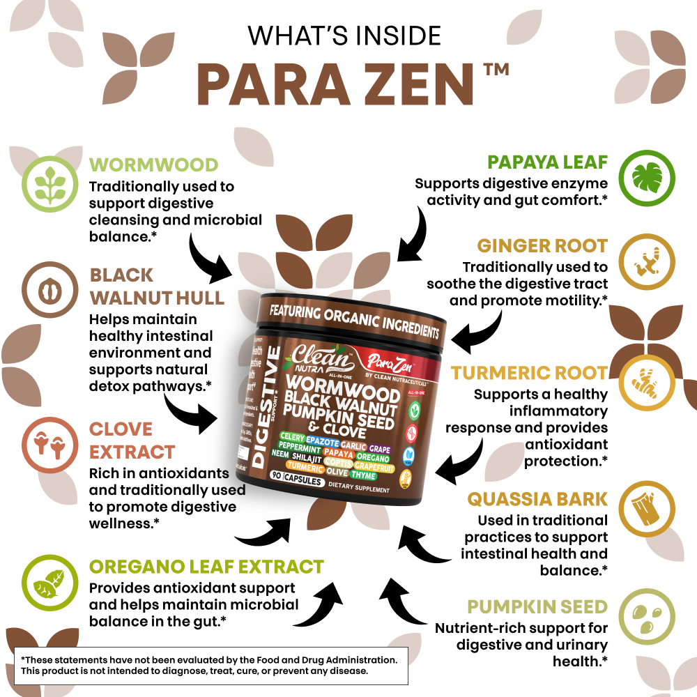 ParaZen