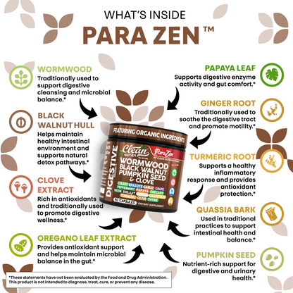 ParaZen