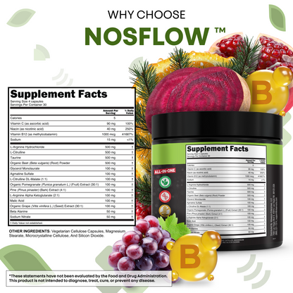 NosFlow