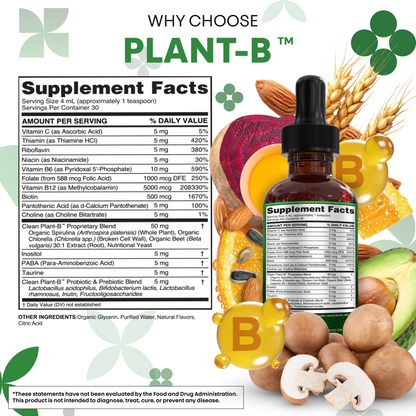 Plant-B